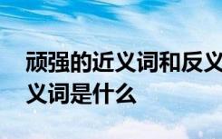 顽强的近义词和反义词是什么意思 顽强近反义词是什么