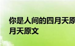 你是人间的四月天原文注音版 你是人间的四月天原文