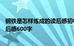 钢铁是怎样炼成的读后感初中500 钢铁是怎样炼成的初中读后感600字