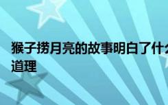 猴子捞月亮的故事明白了什么 猴子捞月亮的故事告诉我们的道理