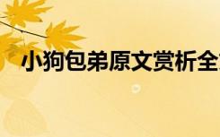 小狗包弟原文赏析全文 小狗包弟原文赏析