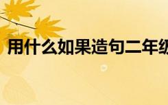 用什么如果造句二年级上册 用什么如果造句