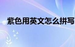 紫色用英文怎么拼写 紫色的英文怎么拼写