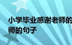 小学毕业感谢老师的话简短暖心 毕业感谢老师的句子