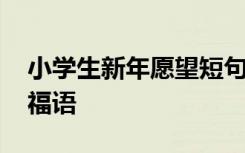 小学生新年愿望短句 小学生新年愿望简短祝福语