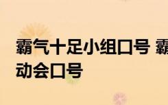 霸气十足小组口号 霸气的小组名励志口号-运动会口号