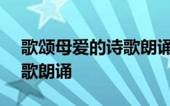 歌颂母爱的诗歌朗诵稿300字 歌颂母爱的诗歌朗诵