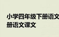 小学四年级下册语文课文白桦 小学四年级下册语文课文