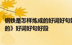 钢铁是怎样炼成的好词好句好段感悟摘抄 《钢铁是怎样炼成的》好词好句好段