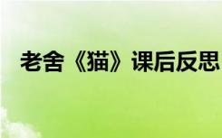 老舍《猫》课后反思 老舍《猫》教学反思