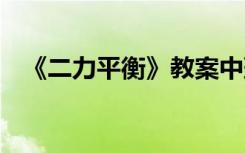 《二力平衡》教案中班 《二力平衡》教案