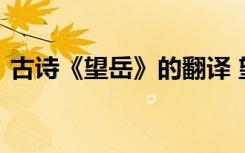 古诗《望岳》的翻译 望岳原文、翻译及赏析