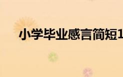 小学毕业感言简短100字 小学毕业感言