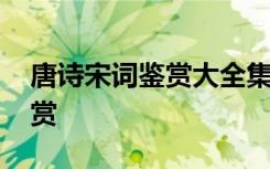 唐诗宋词鉴赏大全集电子书下载 唐诗宋词鉴赏