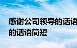 感谢公司领导的话语简短精辟 感谢公司领导的话语简短