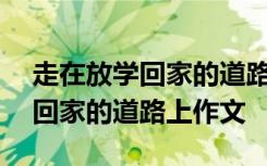 走在放学回家的道路上作文500字 走在放学回家的道路上作文