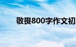 敬畏800字作文初三 敬畏800字作文