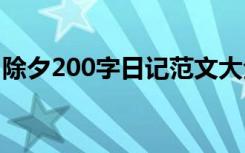 除夕200字日记范文大全 除夕200字日记范文