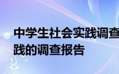 中学生社会实践调查报告范文 中学生社会实践的调查报告