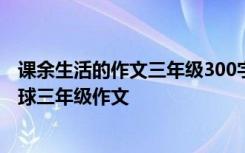 课余生活的作文三年级300字打羽毛球 我的课余生活打羽毛球三年级作文