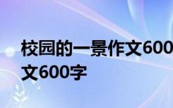 校园的一景作文600字怎么写 校园的一景作文600字