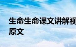 生命生命课文讲解视频 《生命生命》课文的原文