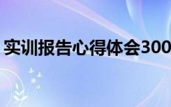 实训报告心得体会3000字 实训报告心得体会