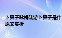 卜算子咏梅陆游卜算子是什么意思 陆游词作《卜算子咏梅》原文赏析