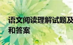 语文阅读理解试题及答案 语文阅读理解试题和答案