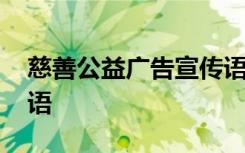 慈善公益广告宣传语 公益慈善活动宣传语标语