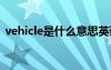 vehicle是什么意思英语 vehicle是什么意思