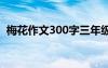 梅花作文300字三年级上册 梅花作文300字