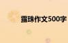 露珠作文500字 露珠作文600字