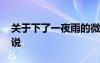 关于下了一夜雨的微信说说 雨下了一夜的说说
