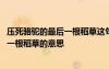 压死骆驼的最后一根稻草这句话是什么意思 压死骆驼的最后一根稻草的意思