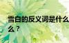 雪白的反义词是什么意思 雪白的反义词是什么？