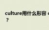 culture用什么形容 culture的形容词形式是？