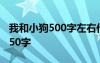 我和小狗500字左右作文 我和小狗作文作文450字