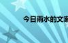 今日雨水的文案 今日雨水句子