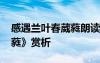 感遇兰叶春葳蕤朗读 张九龄《感遇兰叶春葳蕤》赏析