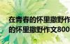 在青春的怀里撒野作文800字怎么写 在青春的怀里撒野作文800字