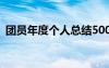 团员年度个人总结500字 团员年度个人总结