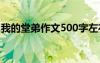 我的堂弟作文500字左右 我的堂弟作文500字