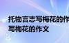 托物言志写梅花的作文650字左右 托物言志写梅花的作文