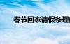 春节回家请假条理由 春节回家请假条