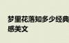 梦里花落知多少经典语段 梦里花落知多少情感美文