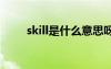 skill是什么意思呀 skill是什么意思