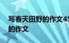 写春天田野的作文450字左右 写春天的田野的作文