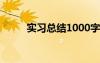 实习总结1000字 计算机实习总结