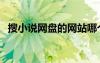 搜小说网盘的网站哪个好用点（搜小说网）